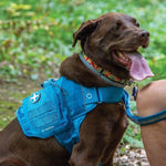 Kurgo - First Aid Kit - Harness Accessory - Coastal Blue
