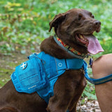 Kurgo - First Aid Kit - Harness Accessory - Coastal Blue