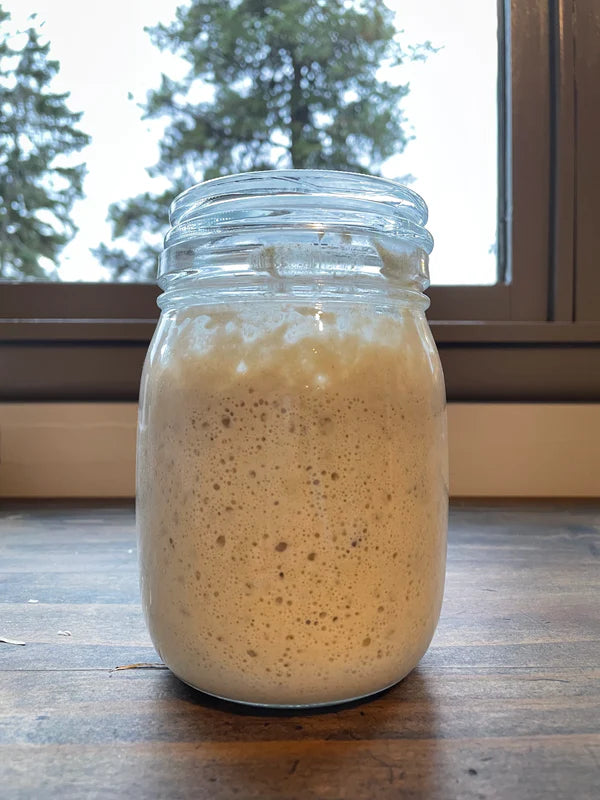 Local Product - Starter Cultures - Sourdough Starter