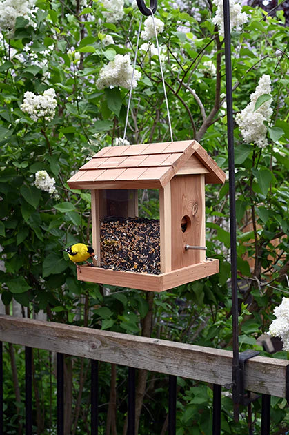 Pinebush - Cedar Bin Feeder