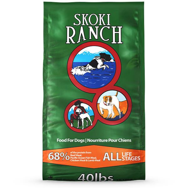 Skoki - Dog Food