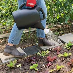 Garden Supplies - Chapin 2 Gallon Watering Can