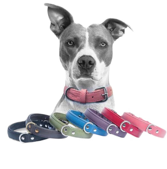 Angel - Alpine Leather Dog Collar
