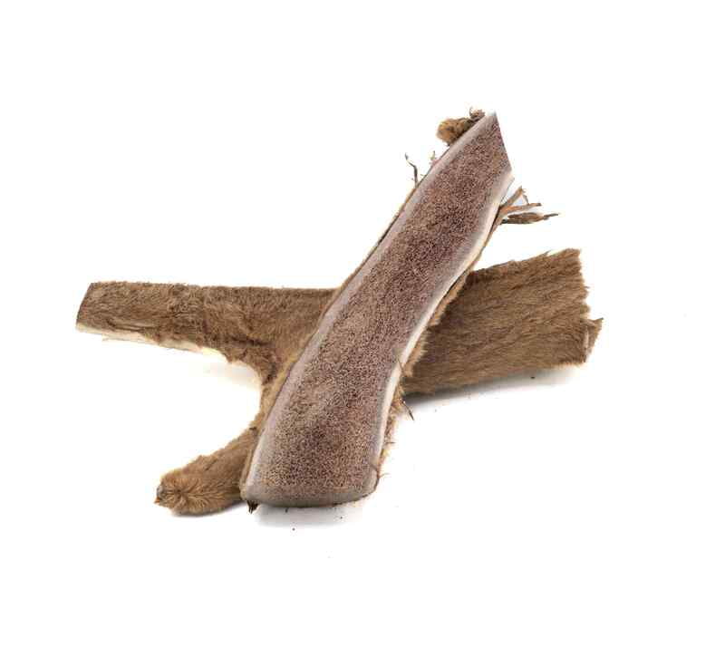 FureverPure - Antler Dog Chew