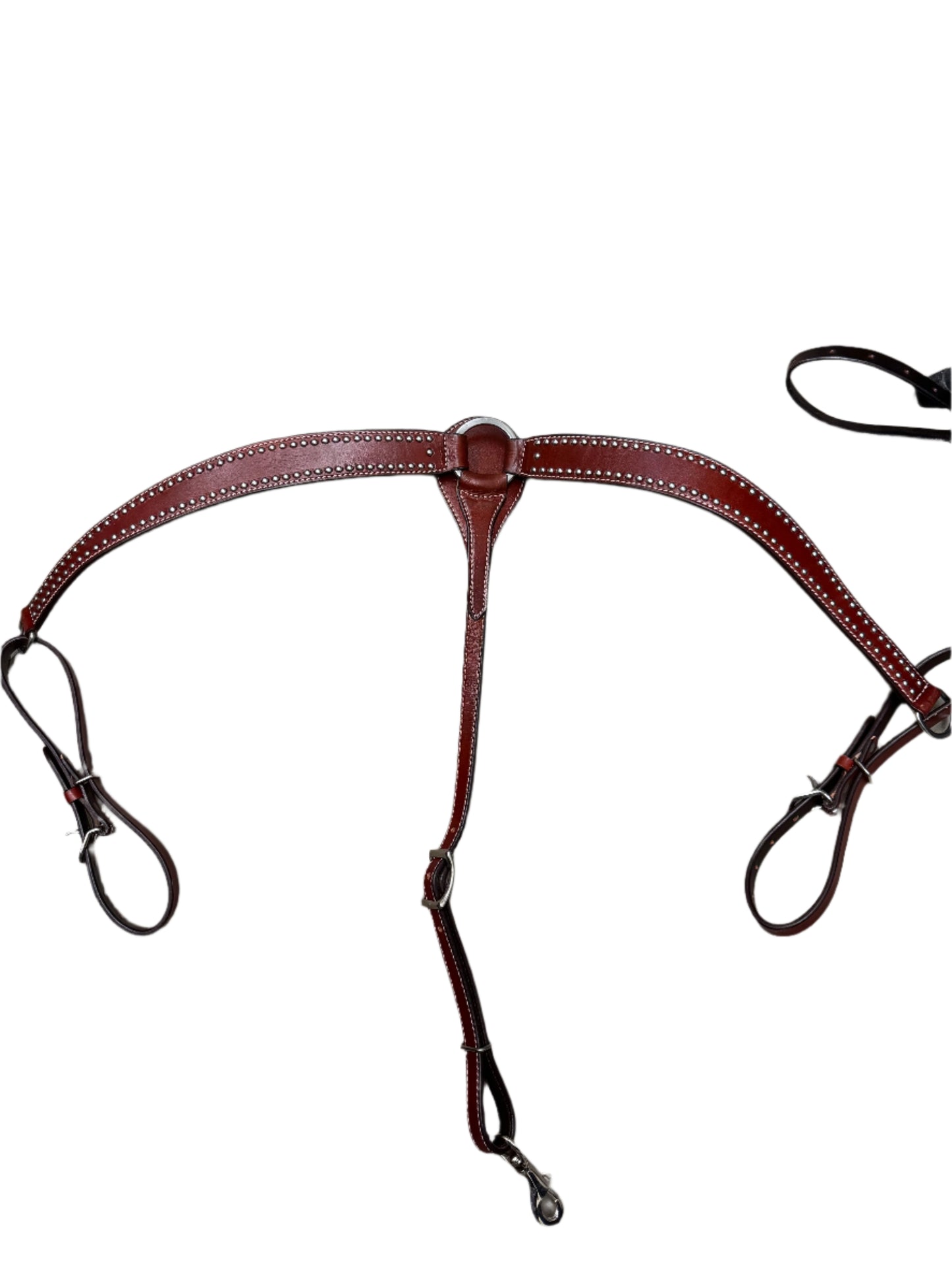 True North - Designer Breast Collar