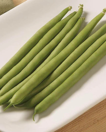 West Coast Seeds - Beans