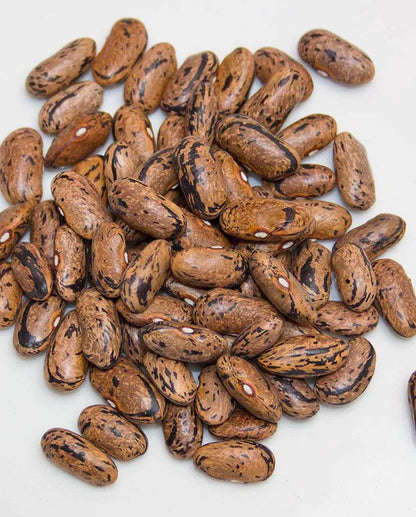 West Coast Seeds - Beans