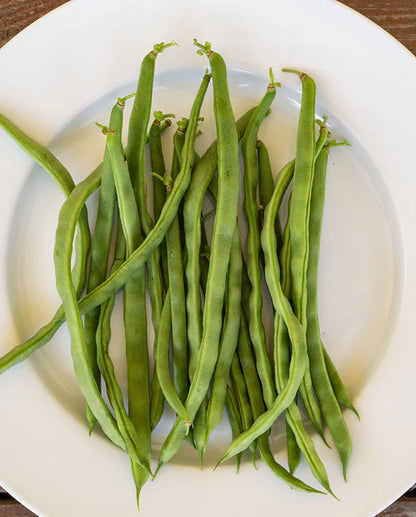 West Coast Seeds - Beans