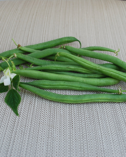 West Coast Seeds - Beans