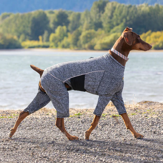 Kurgo - Stowe Base Layer  - Medium