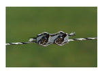 Beaumont - Fencing Rope Connector - 5 Pack
