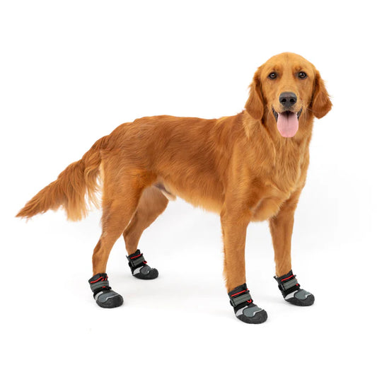 Kurgo - Blaze Dog Boots - 2 Pack