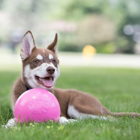 Jolly Pets - Bounce N Play Pet Ball - 4.5"