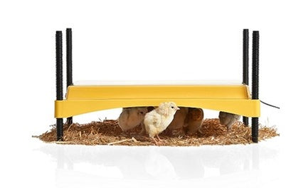 Brinsea - EcoGlow Chick Brooder Plate (Special Order)