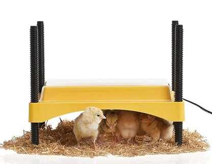 Brinsea - EcoGlow Chick Brooder Plate (Special Order)