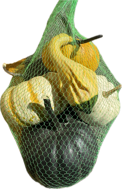 Fresh - Locally Grown - Pumpkin, Squash, Gourds