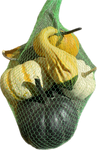 Fresh - Locally Grown - Pumpkin, Squash, Gourds