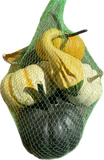 Fresh - Locally Grown - Pumpkin, Squash, Gourds