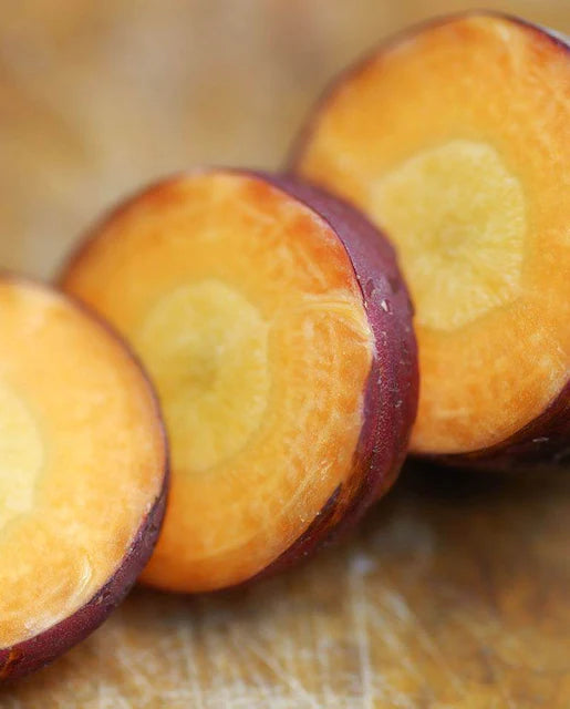 West Coast Seeds - Carrots