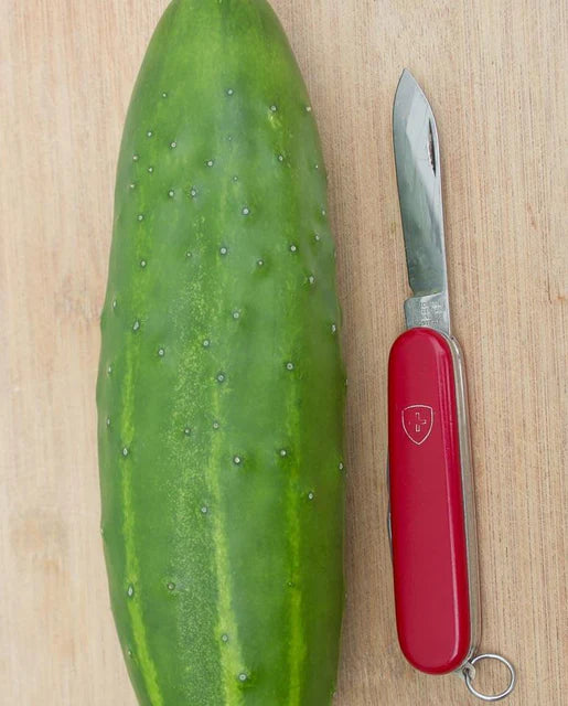 West Coast Seeds - Cucumber
