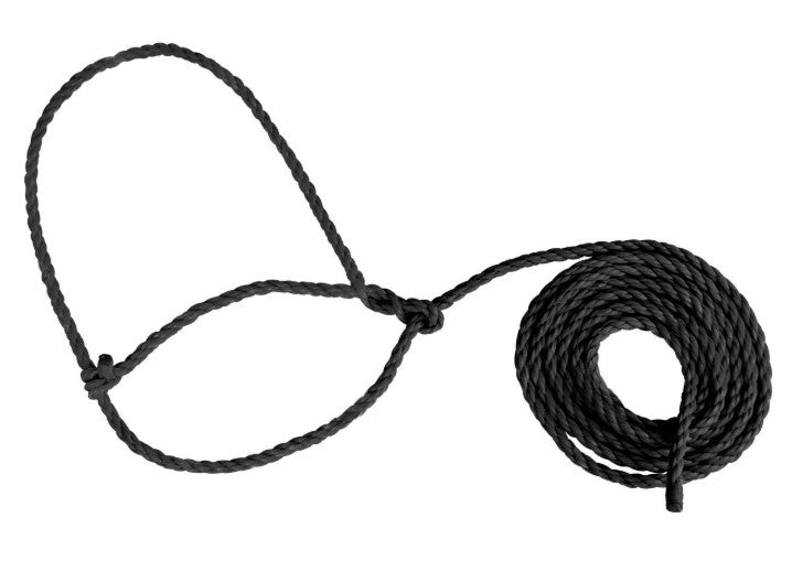 Adjustable Rope Halter for Baby Calves & Sheep
