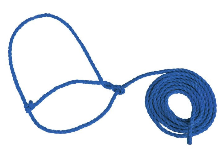 Adjustable Rope Halter for Baby Calves & Sheep