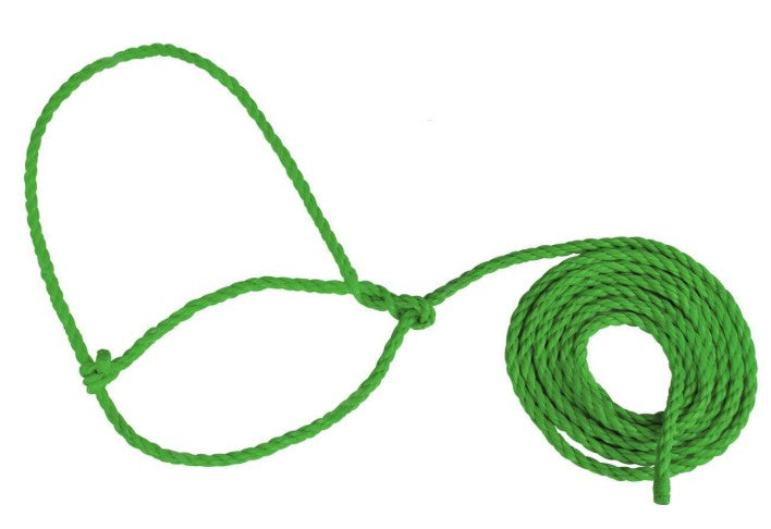Adjustable Rope Halter for Baby Calves & Sheep