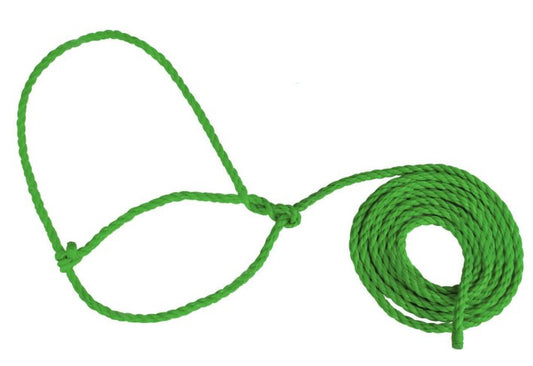 Adjustable Rope Halter for Baby Calves & Sheep