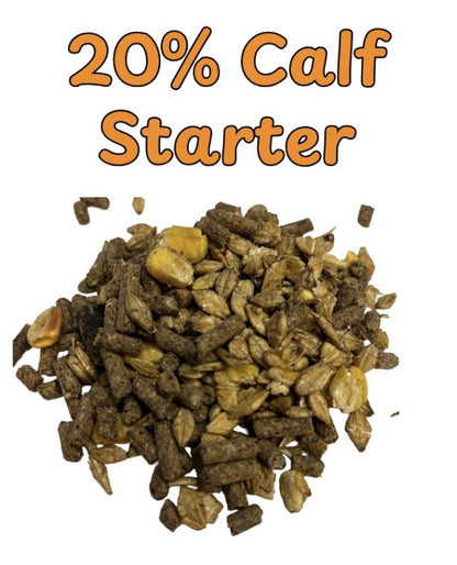 CJ - 20% Calf Starter Rolled - 20kg - Textured