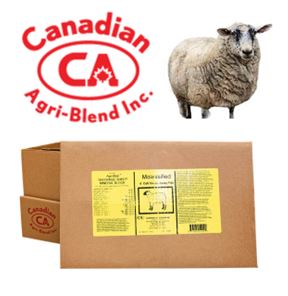 Agri-Blok - Sheep 10:6 - 4-cell - 25 Kg