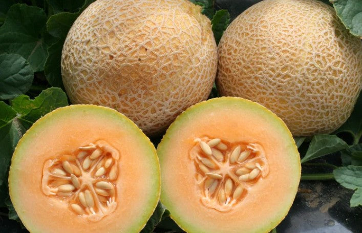 West Coast Seeds - Melons