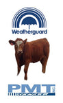 Weatherguard - Loose Cattle Mineral #2 (20-10-0) with Garlic - 20kg