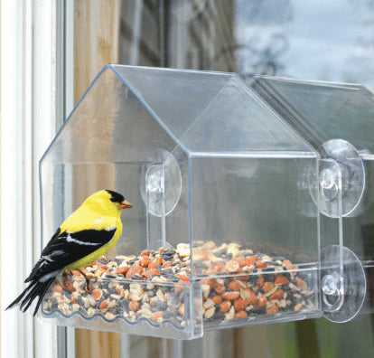 Nature's Way - Clear View Plastic Window Feeder - 2 Cup