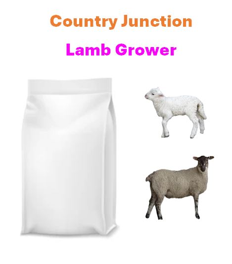 CJ - Lamb Grower 16% - 20kg (Special Order)