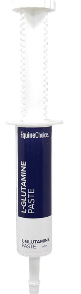 Equine Choice - L-Glutamine Paste (Special Order)