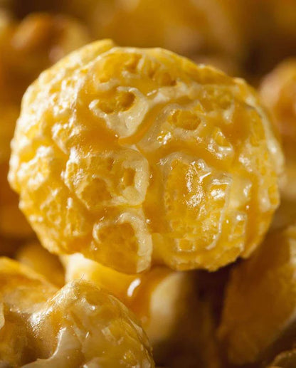 West Coast Seeds - Corn