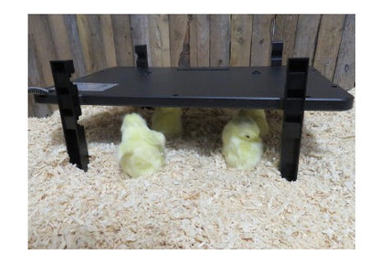 Chick Heat Panel - 2-in-1
