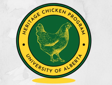 U of A - Heritage - Barred Plymouth Rock - Chicks - UNSEXED - Shipment 2 - May 20, 2026