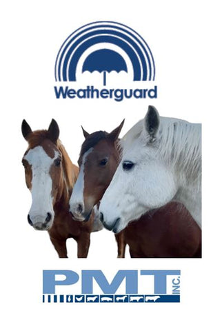 Weather Guard - Equine Mineral - 15:10:15
