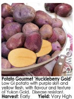 Seed Potatoes - Arriving in April