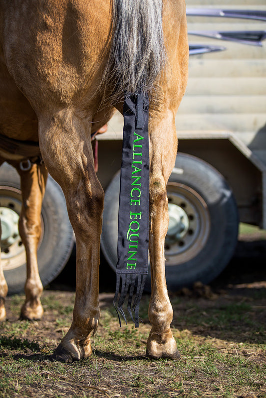 Alliance Eqiune - Tail Bags