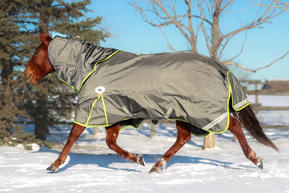 Alliance Equine - LUX Winter Blanket - 1280D - Neck Cover (Removable) - 300G