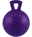 Jolly Ball - Ball with handle - 10"