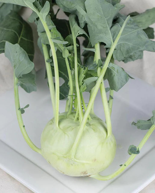 West Coast Seeds - Misc Vegetables