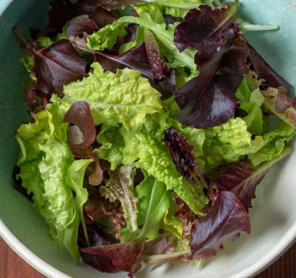 West Coast Seeds - Lettuce