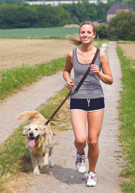 Angel - Multi-Function Dog Leash