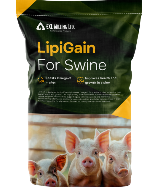 LipiGain - Swine