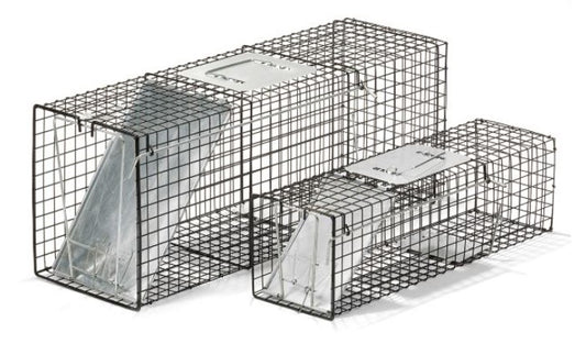 Economy Live Trap Combo Pack - Includes 32" x 11" x 12" large trap