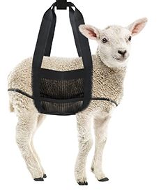 Kerbl - Lamb/Kid Sling