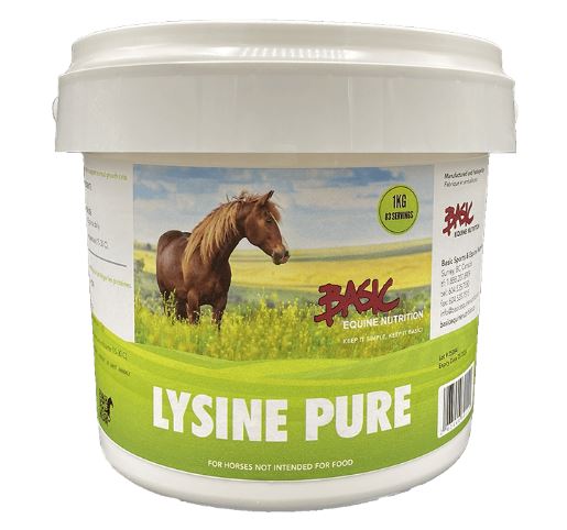 Lysine Pure - 5kg ( Special Order )